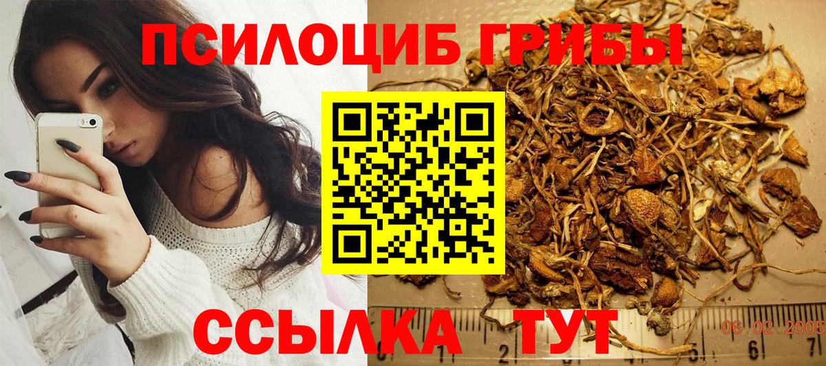 Галлюциногенные грибы Cubensis  наркота  Камышлов  Вход с VPN 
